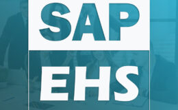 sap ehs